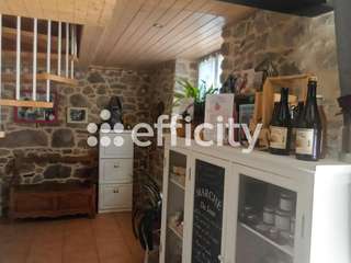 Vente maison 18 pièces