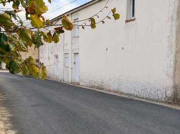 Vente maison 8 pièces Montaigu 85