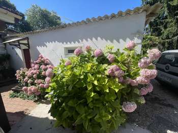 Vente Maison 1 chambreMontauban