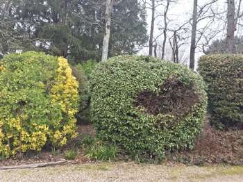 Vente Maison 4 chambresMontauban