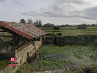 Vente maison 20 pièces