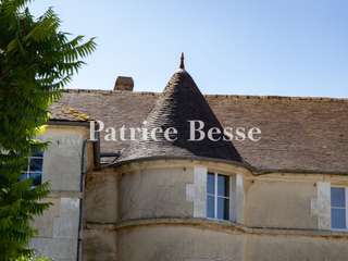Vente maison 19 pièces