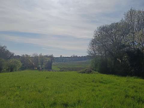 Vente maison 7 pièces Montigny 18