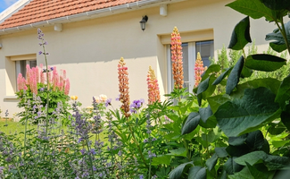 Photo Vente maison Montivilliers