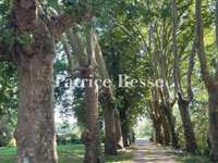 Vente maison 20 pièces Vente maison 20 pièces