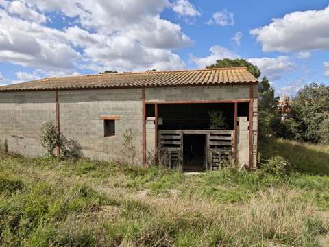 Vente maison 1 pièce Montner 66