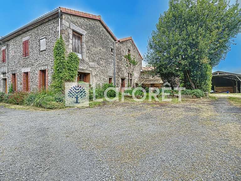 Vente maison 10 pièces