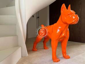 Vente Maison 11 chambresMontpellier