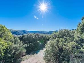 Vente Maison 18 chambresMontpellier