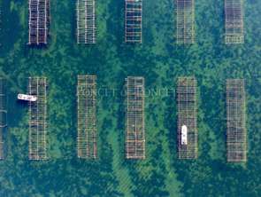 Vente Maison 13 piècesMontpellier