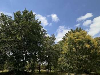 Vente maison 6 pièces Montpon-Ménestérol 24