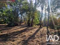 Vente maison 1 pièce Vente maison 1 pièce