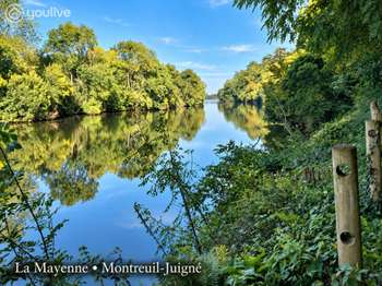 Vente Maison 5 chambresMontreuil-Juigné