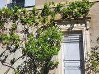 Vente maison 12 pièces Vente maison 12 pièces