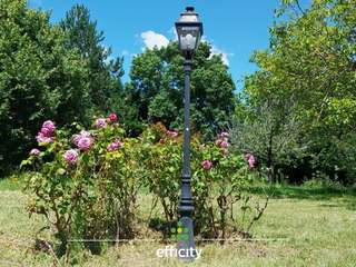 Vente maison 13 pièces