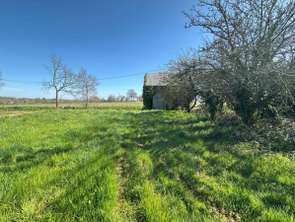 Vente Maison 1 pièceMouazé