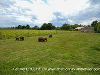 Vente maison 2 pièces Vente maison 2 pièces