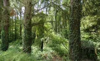 Photo Vente maison Moulins-sur-Orne