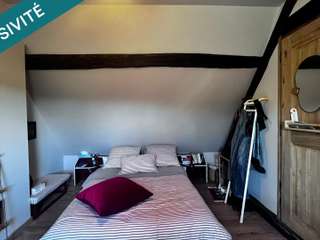 Vente maison 10 pièces