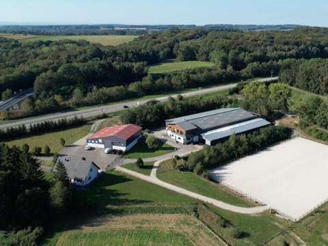 Vente maison 10 pièces Mulhouse 68