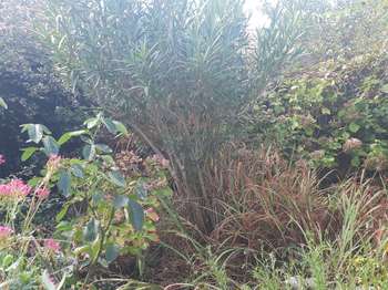 Vente Maison 1 chambreNantes