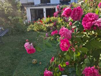 Vente Maison 4 chambresNantes Doulon - Vieux Doulon