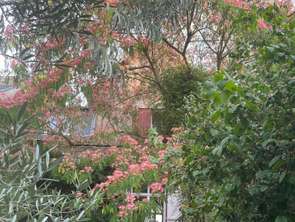 Vente Maison 4 chambresNantes Toutes-Aides