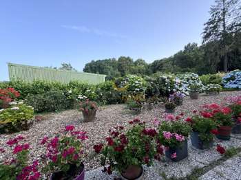 Photo Vente maison Neuvy-Bouin