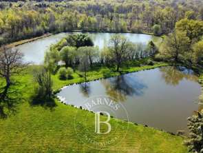 Vente Maison 4 chambresNeuvy-sur-Barangeon