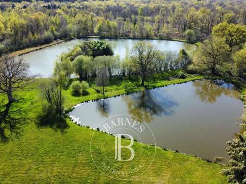 Vente maison 9 pièces Neuvy-sur-Barangeon 18