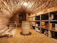 Vente maison 11 pièces