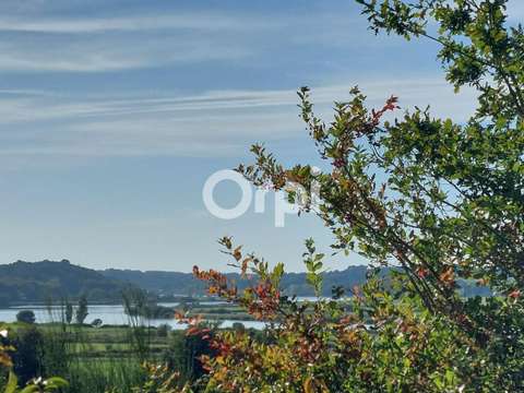 Vente maison 5 pièces Nivillac 56