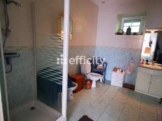 Vente maison 11 pièces
