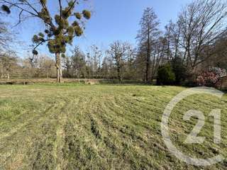 Vente maison 14 pièces