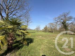 Vente maison 14 pièces