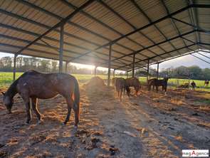 Vente Maison 2 chambresNozay