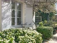 Vente maison 11 pièces Vente maison 11 pièces
