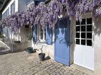 Vente maison 12 pièces Vente maison 12 pièces