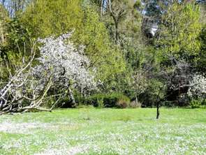 Vente Maison 1 chambreOrvault