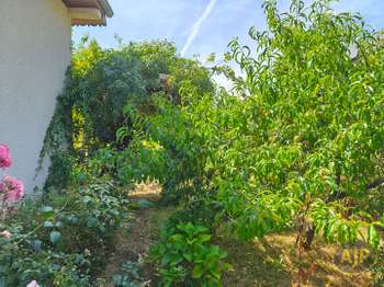 Photo Vente maison Pacé
