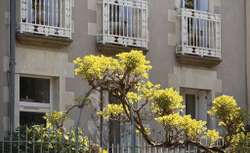 Photo Vente maison Paimboeuf