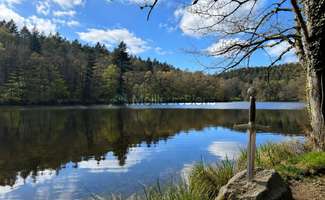 Photo Vente maison Paimpont