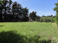 Vente maison 1 pièce