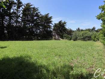 Vente maison 1 pièce