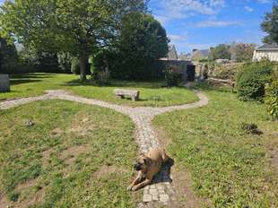 Photo Vente maison Penvénan