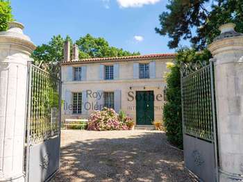 Vente maison 14 pièces Pessines 17