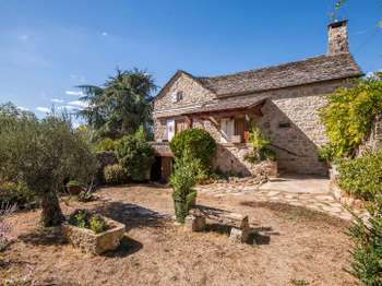 Vente maison 10 pièces Peyreleau 12