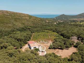Vente Maison 5 chambresPietracorbara