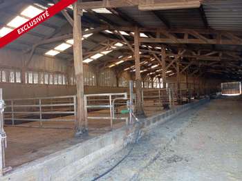 Vente Maison 1 chambrePipriac