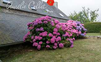 Photo Vente maison Pléboulle